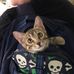 Profile Picture of Carson Manning (@carson.manning.77) on Facebook