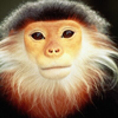 Profile Picture of Julia ByronCooper (@JuliaByronCoope) on Twitter