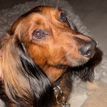 Profile Picture of Michael Rossello (@mikeymotionless) on Instagram