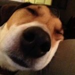 Profile Picture of Jackie Singleton (@stokeymum39) on Instagram