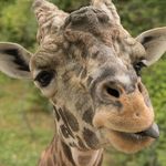 Profile Picture of Amy Meador (@a.meadou) on Instagram