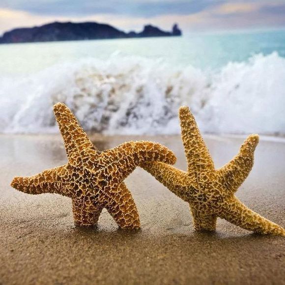 Profile Picture of Roxy Rox (@rroxyrox) on Poshmark