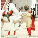 Profile Picture of Swati Chawla (@swatichawla978) on Instagram