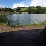 Profile Picture of Daniel Bedford (@danielbedford15) on Instagram