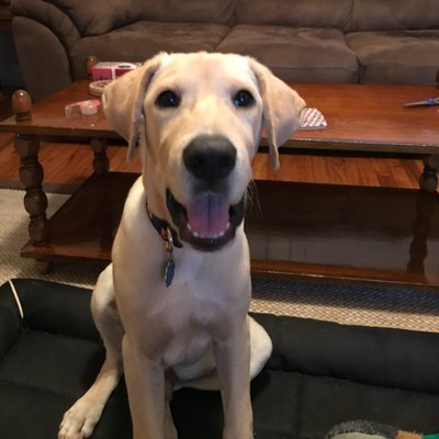 Profile Picture of John E. Busbee III (@Busbee3) on Twitter
