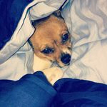 Profile Picture of Jonathan Bräuer (@1jona2) on Instagram