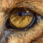 Profile Picture of Ralph Winter (@winter_ralph) on Instagram