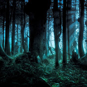 Profile Picture of Danny Dang (@dannydang1478) on Youtube