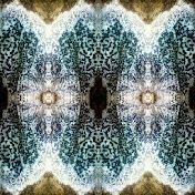 Profile Picture of Meall (@meall7949) on Youtube