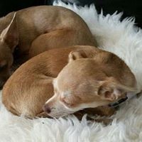 Profile Picture of Meg Blair (@meg-blair-2) on Quora