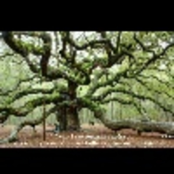 Profile Picture of Patti Hehn (@roadrunnerp) on Poshmark