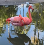 Profile Picture of Jalagam Rajeswari (@jalagam.rajeswari) on Facebook