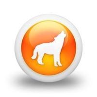 Profile Picture of Dillon Li (@dillon-li-3) on Quora