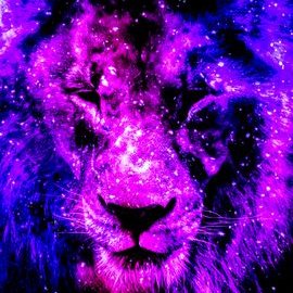 Profile Picture of Micky Bradley Mejia (@BradleyMicky) on Twitter