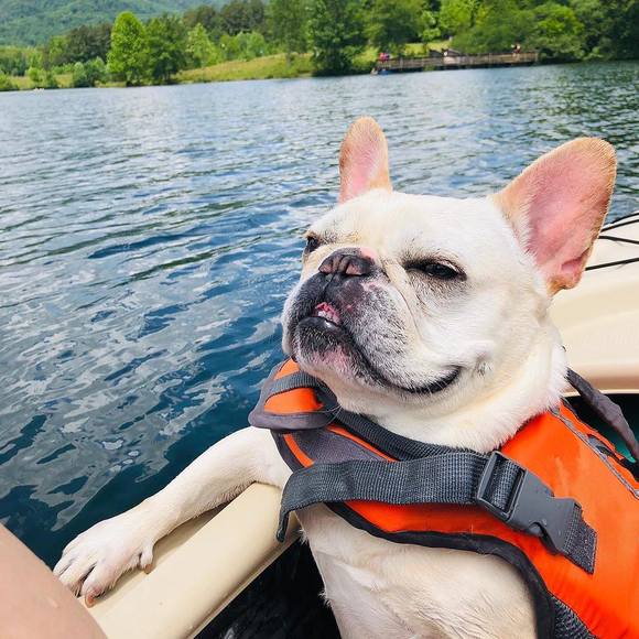 Profile Picture of Linsey Wales (@linseywales27) on Poshmark