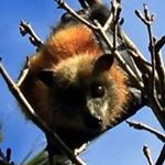 Profile Picture of Allen Boyer (@itsallenb) on Instagram