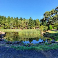 Profile Picture of Brodie Duncan (@brodie-duncan-4) on Quora