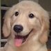 Profile Picture of Alexa Goulet (@alexa.goulet.9) on Facebook