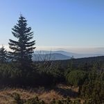 Profile Picture of Георгій Шелманов (@georgiishelmanov) on Instagram