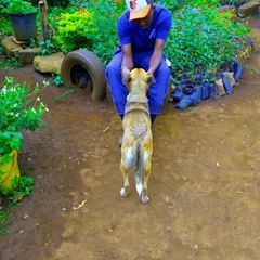 Profile Picture of edwardnjoroge378 (@edwardnjoroge378) on Tiktok