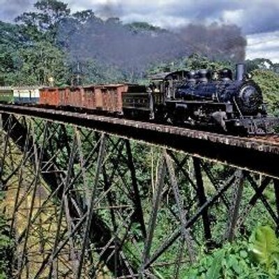 Profile Picture of Violeta Lara (@VioleLara5) on Twitter