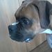 Profile Picture of Kevin Kollins (@kkollins) on Pinterest