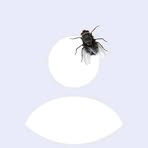 Profile Picture of Mark Amigo (@Mark-Amigo) on Facebook