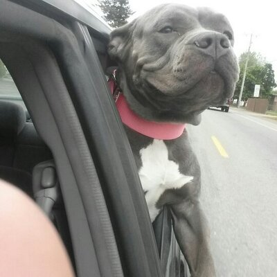 Profile Picture of Aaron Abney (@abs509) on Twitter