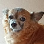 Profile Picture of Pamela Burback (@tresdonburback.247) on Facebook