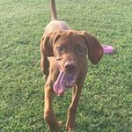 Hutton bo Buttons - Instagram Profile Picture of Hutton bo Buttons (@huttie_g) on Instagram