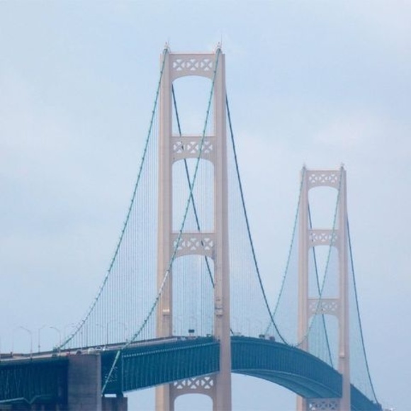 Profile Picture of Colleen Vavasour (@cvavasour) on Poshmark