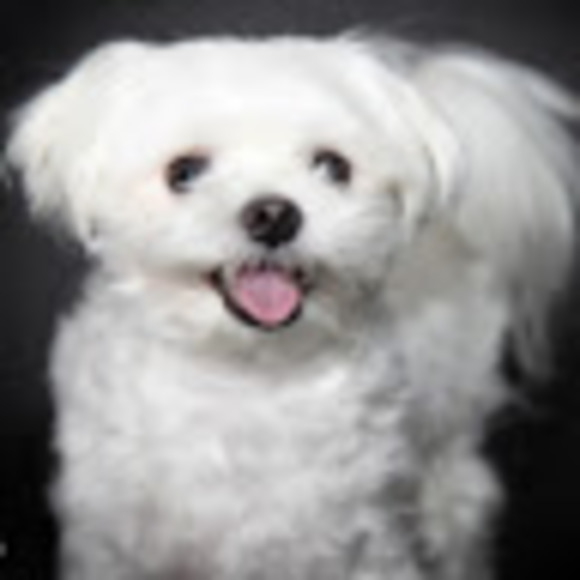 Profile Picture of Florence Cheung (@carmenflorence) on Poshmark