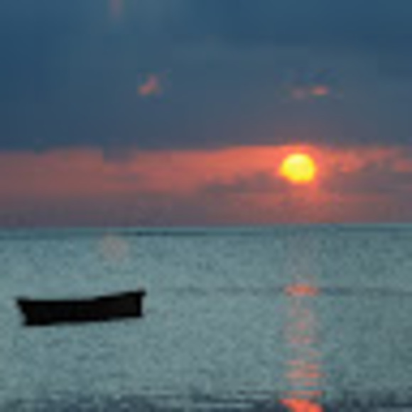 Profile Picture of Lisa Davies (@lcdavies100) on Poshmark