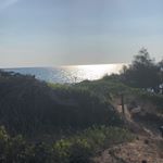 Profile Picture of Daniela (@danielacimmarelli) on Instagram