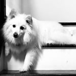 Claire Baumann - Instagram Profile Picture of Claire Baumann (@baumann_claire) on Instagram