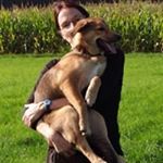 Scott Nordine - Instagram Profile Picture of Scott Nordine (@asoutsaydist1981m0z) on Instagram