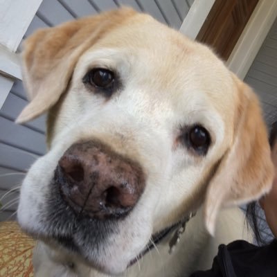 Profile Picture of Paula Swain (@Houstonpsp) on Twitter