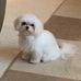 Profile Picture of Debbie Ropp Miner (@debbie.roppminer) on Facebook