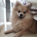 Profile Picture of ScottFontesDePaula (@familia_flokinhos) on Instagram