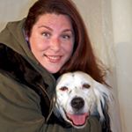 Profile Picture of Bart The English Setter (@bartdogandellen) on Instagram
