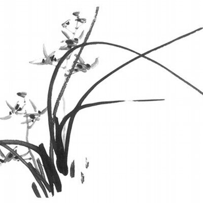 Profile Picture of Anne LaMusga (@Anneafred) on Twitter