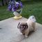Profile Picture of Sherry Dingess (@sherry.dingess.94) on Facebook