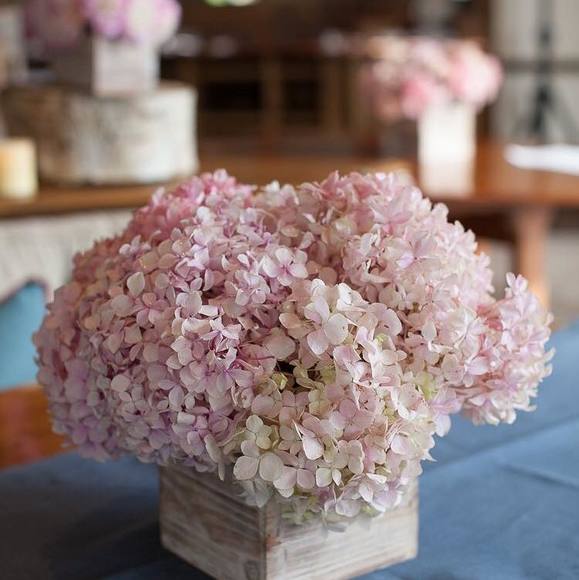 Profile Picture of Paula Wagstaff (@pwagstaff) on Poshmark