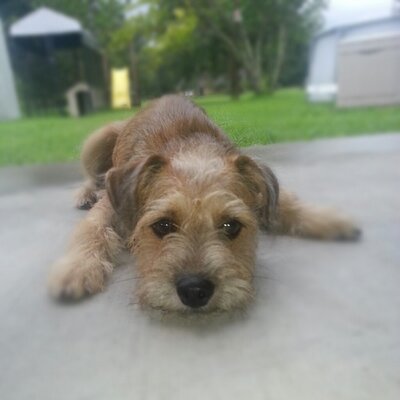 Profile Picture of James Dickens (@EtouffeeGemeaux) on Twitter