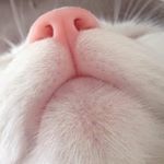 Profile Picture of Gi Won Jang (@giwon.jang.1) on Instagram