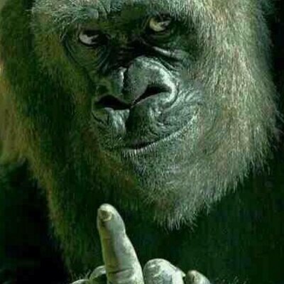 Profile Picture of Michael Kew (@scratchmasterq) on Twitter