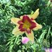 Profile Picture of Jean Abbott Schirber (@jean.schirber) on Facebook