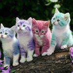 Profile Picture of mackenzielanders41 (@mackenzielanders41) on Instagram