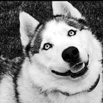 Profile Picture of Пропп Кристина (@kristina_judoka) on Instagram