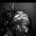Profile Picture of Padgar Sari (@padgar.sari) on Facebook